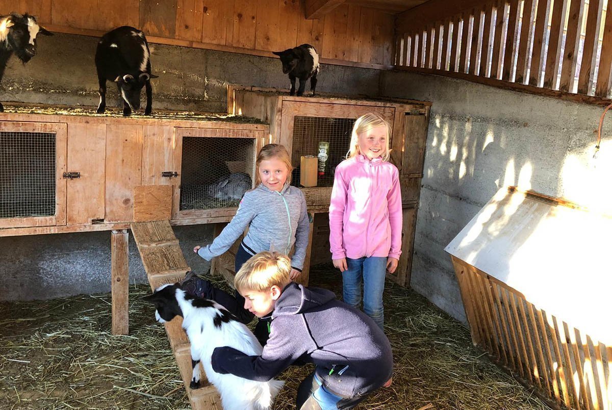 Bauernhofurlaub mit Kindern am Pineiderhof in Villnöss